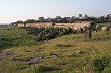Carthage - Oued Milliane 100_6325